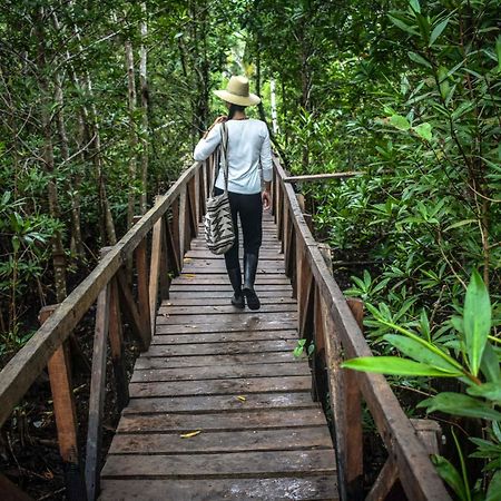 Jardin Botanico Del Pacifico Y Mecana Ecohotel Bahia Solano Exteriér fotografie