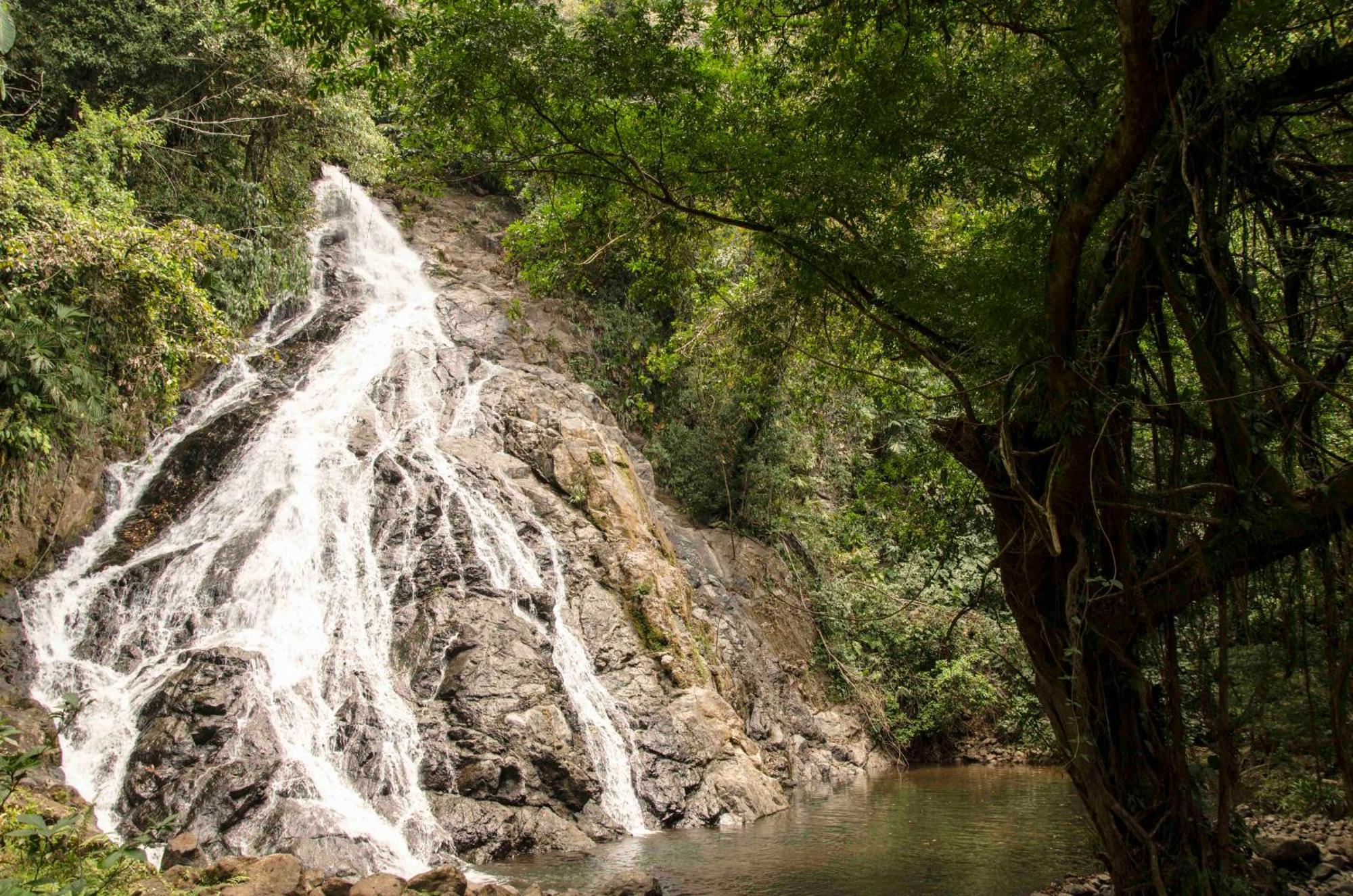 Jardin Botanico Del Pacifico Y Mecana Ecohotel Bahia Solano Exteriér fotografie