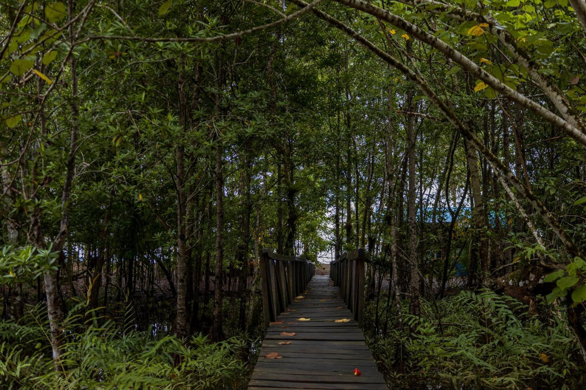 Jardin Botanico Del Pacifico Y Mecana Ecohotel Bahia Solano Exteriér fotografie