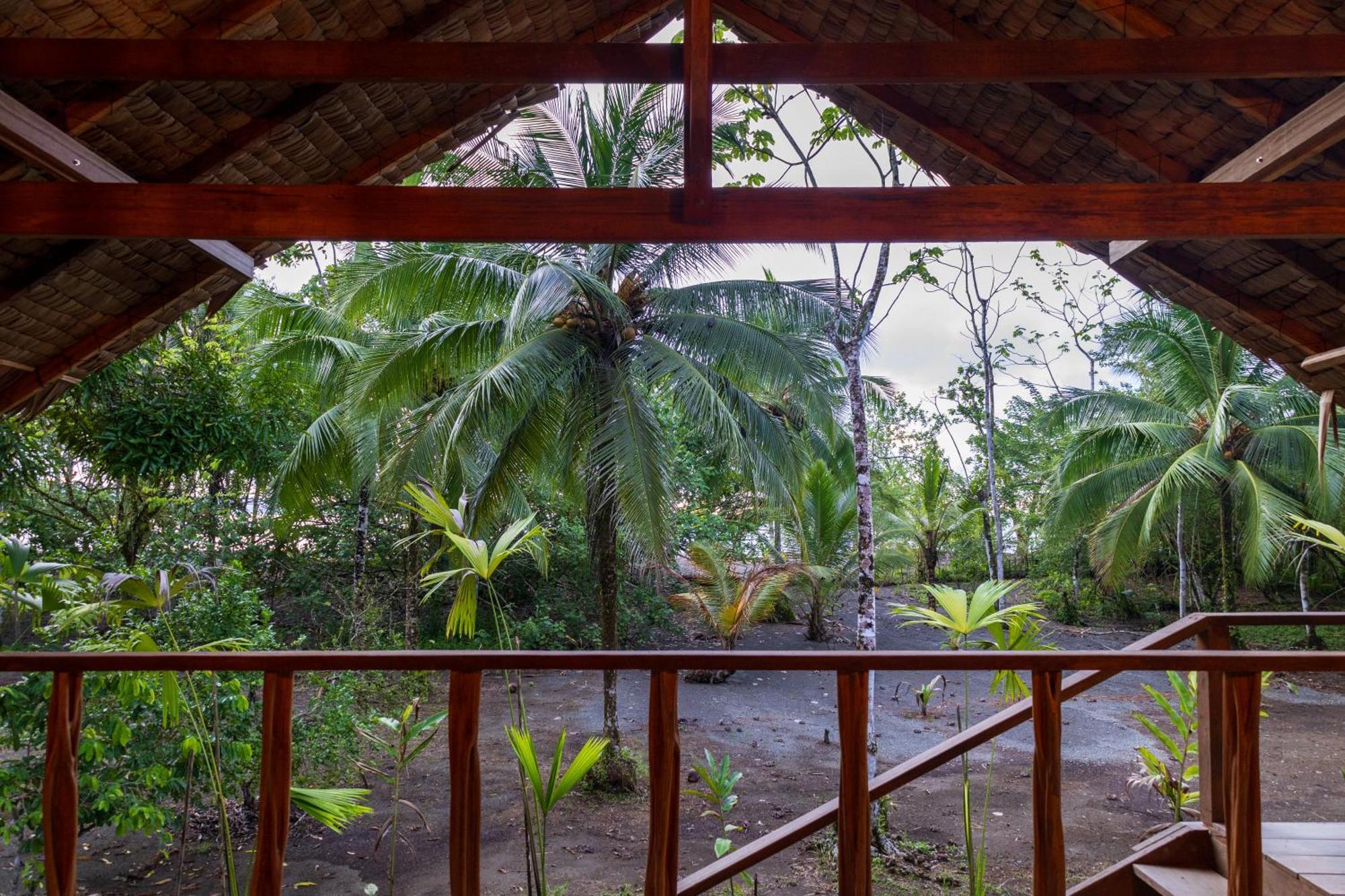 Jardin Botanico Del Pacifico Y Mecana Ecohotel Bahia Solano Exteriér fotografie