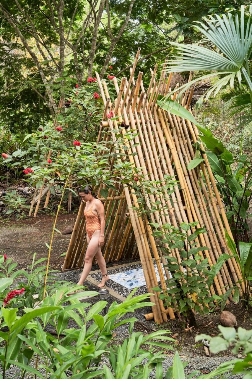 Jardin Botanico Del Pacifico Y Mecana Ecohotel Bahia Solano Exteriér fotografie