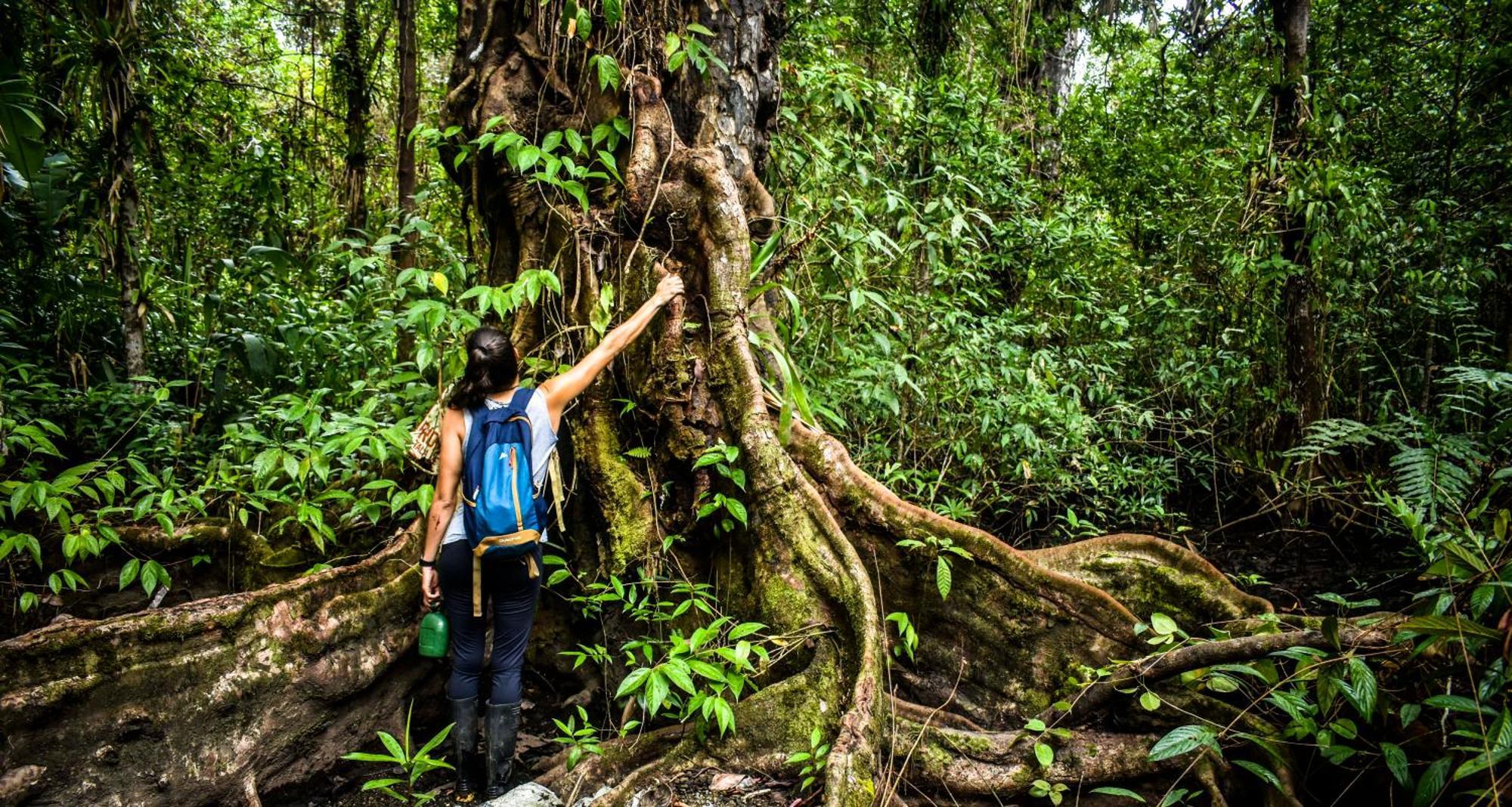 Jardin Botanico Del Pacifico Y Mecana Ecohotel Bahia Solano Exteriér fotografie