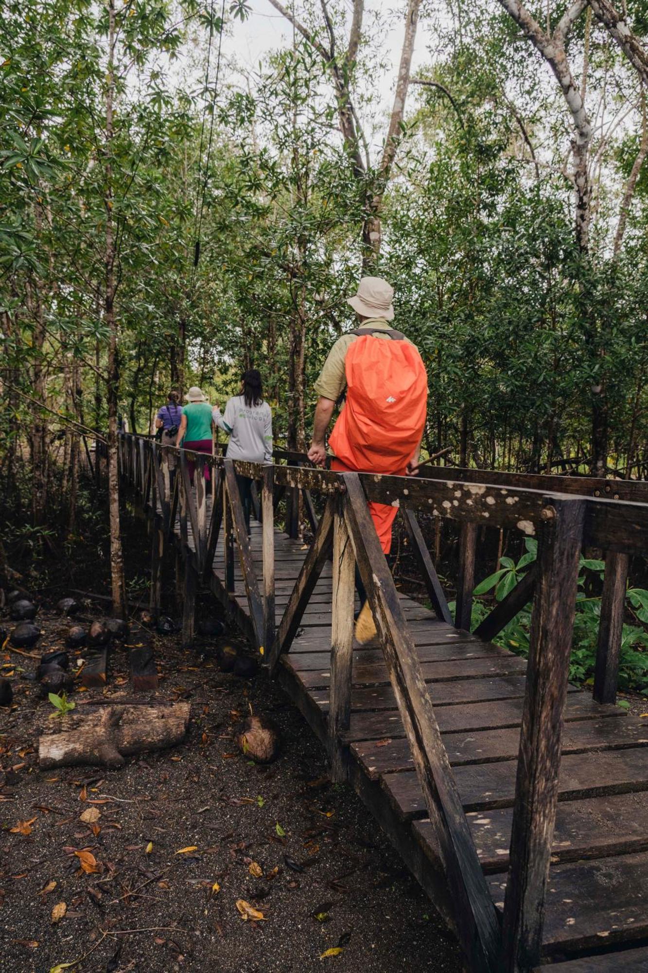 Jardin Botanico Del Pacifico Y Mecana Ecohotel Bahia Solano Exteriér fotografie