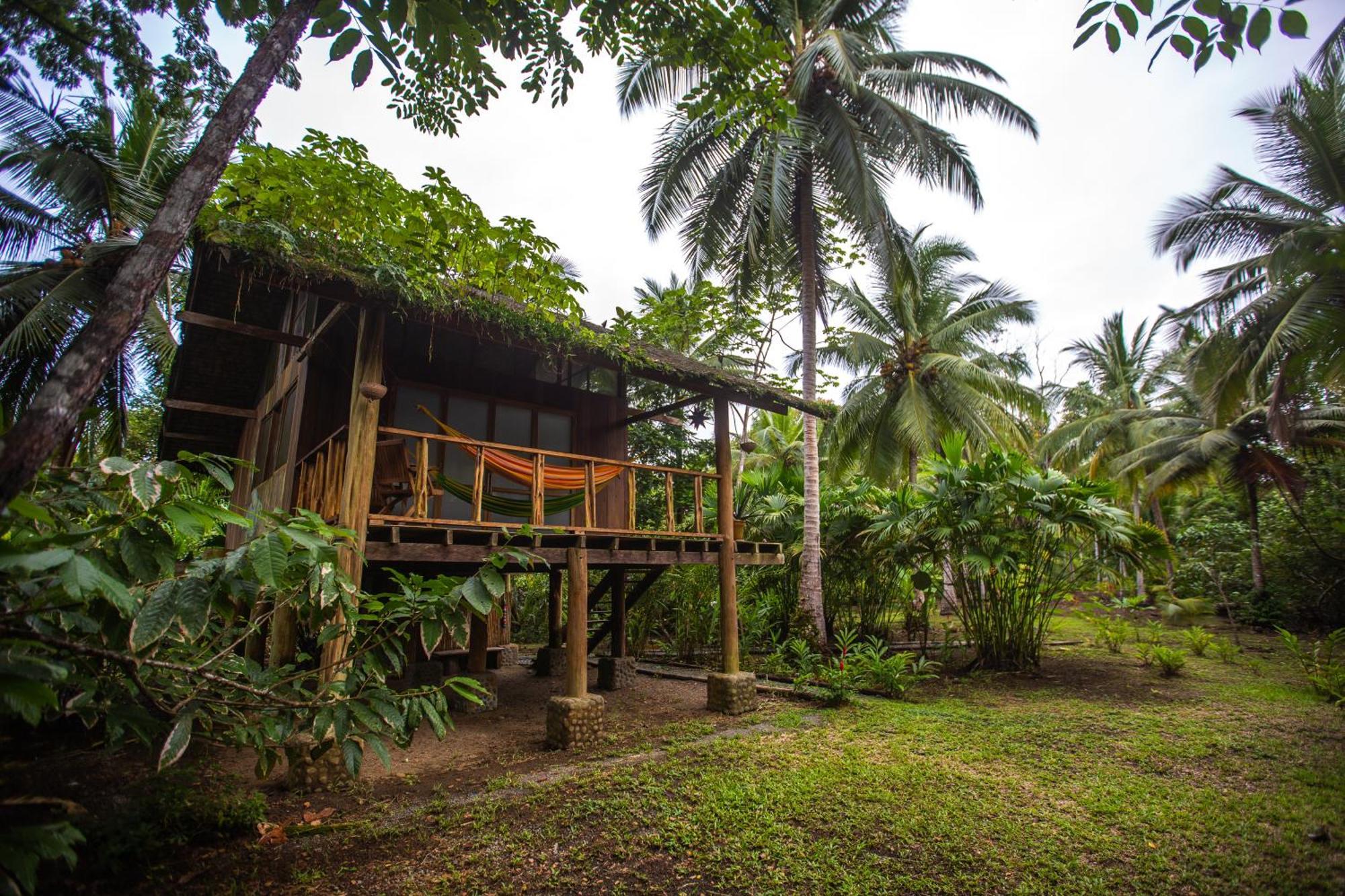 Jardin Botanico Del Pacifico Y Mecana Ecohotel Bahia Solano Exteriér fotografie