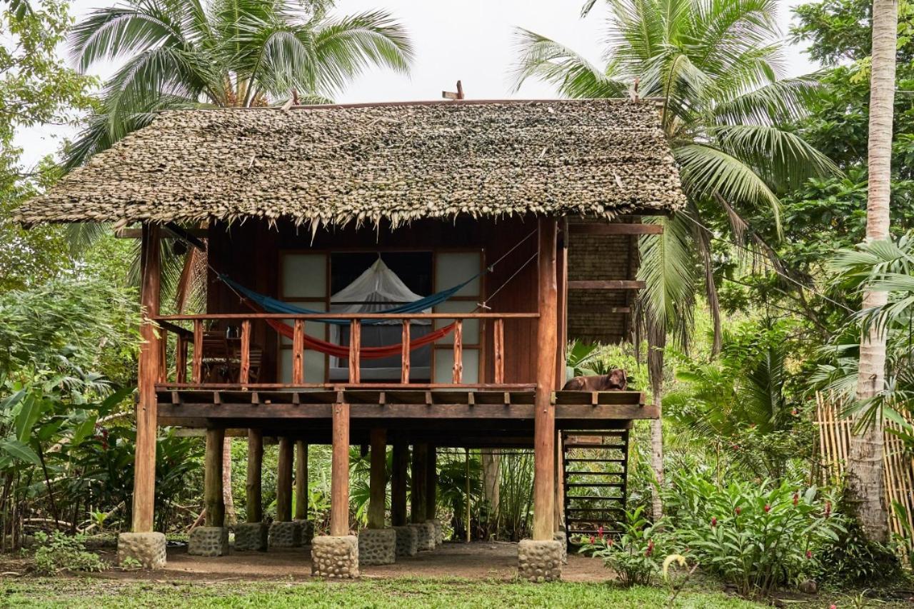 Jardin Botanico Del Pacifico Y Mecana Ecohotel Bahia Solano Exteriér fotografie