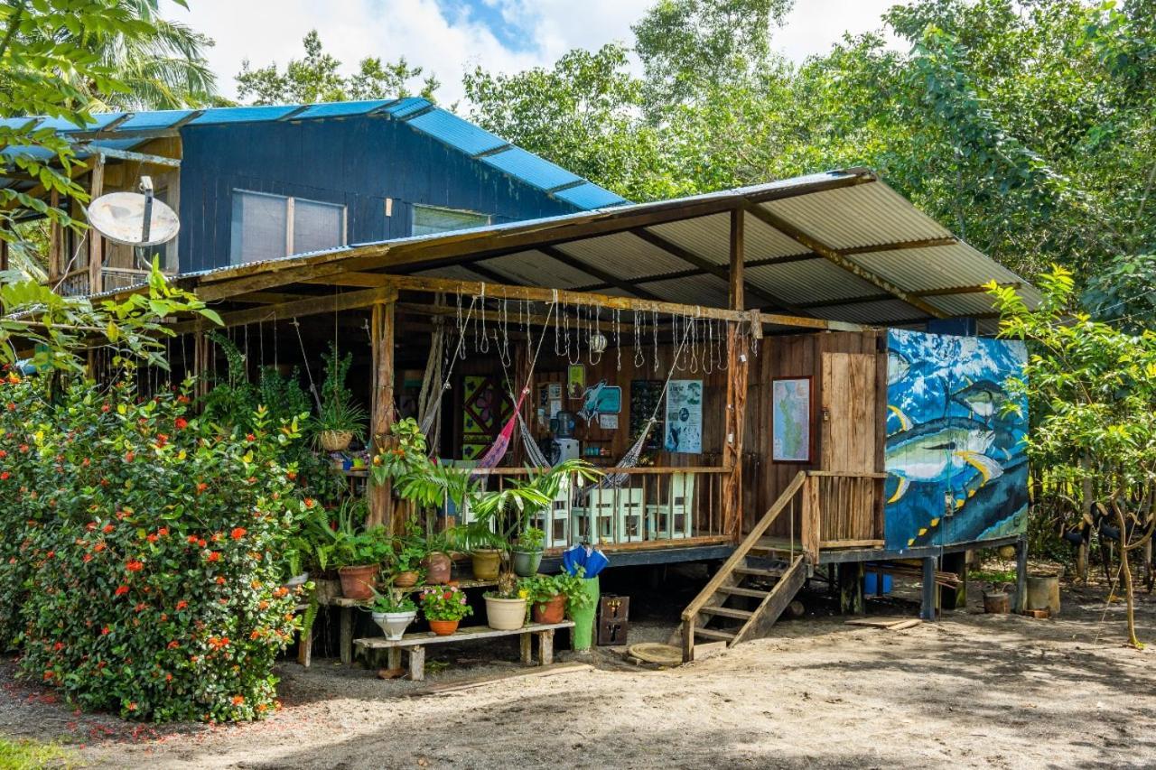 Jardin Botanico Del Pacifico Y Mecana Ecohotel Bahia Solano Exteriér fotografie