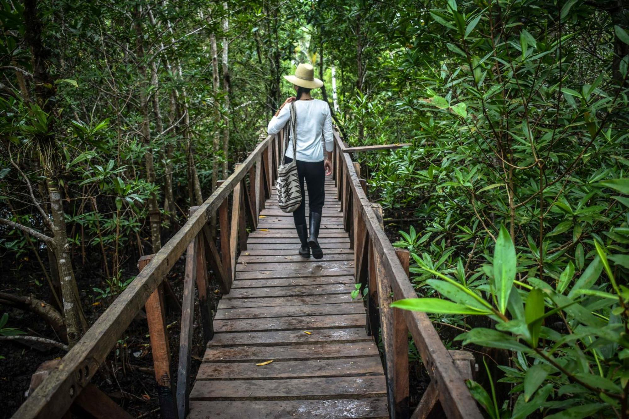 Jardin Botanico Del Pacifico Y Mecana Ecohotel Bahia Solano Exteriér fotografie